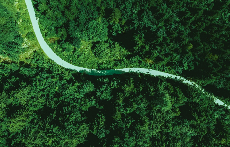 �����������������������ƶ���ɫ����