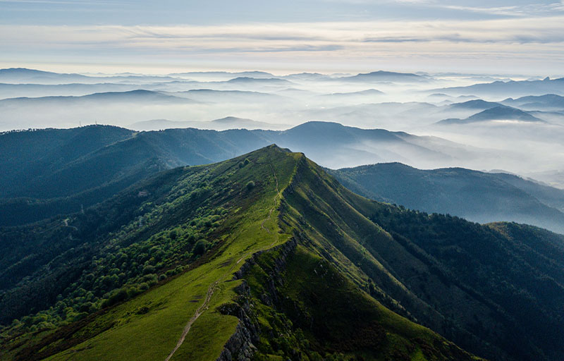 williamhill������ϣ��(����)Ψһ���Ĺٷ���վ-Official website