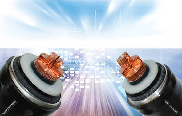 williamhill·威廉希尔(足球)唯一中文官方网站-Official website